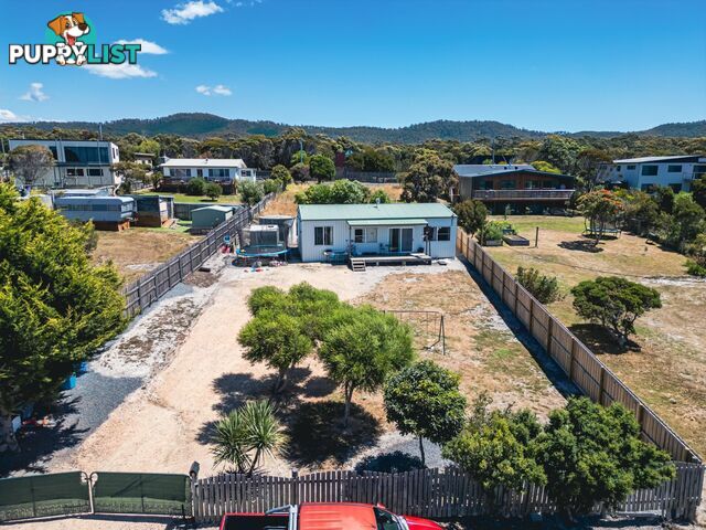 6 Beaumaris Avenue BEAUMARIS TAS 7215