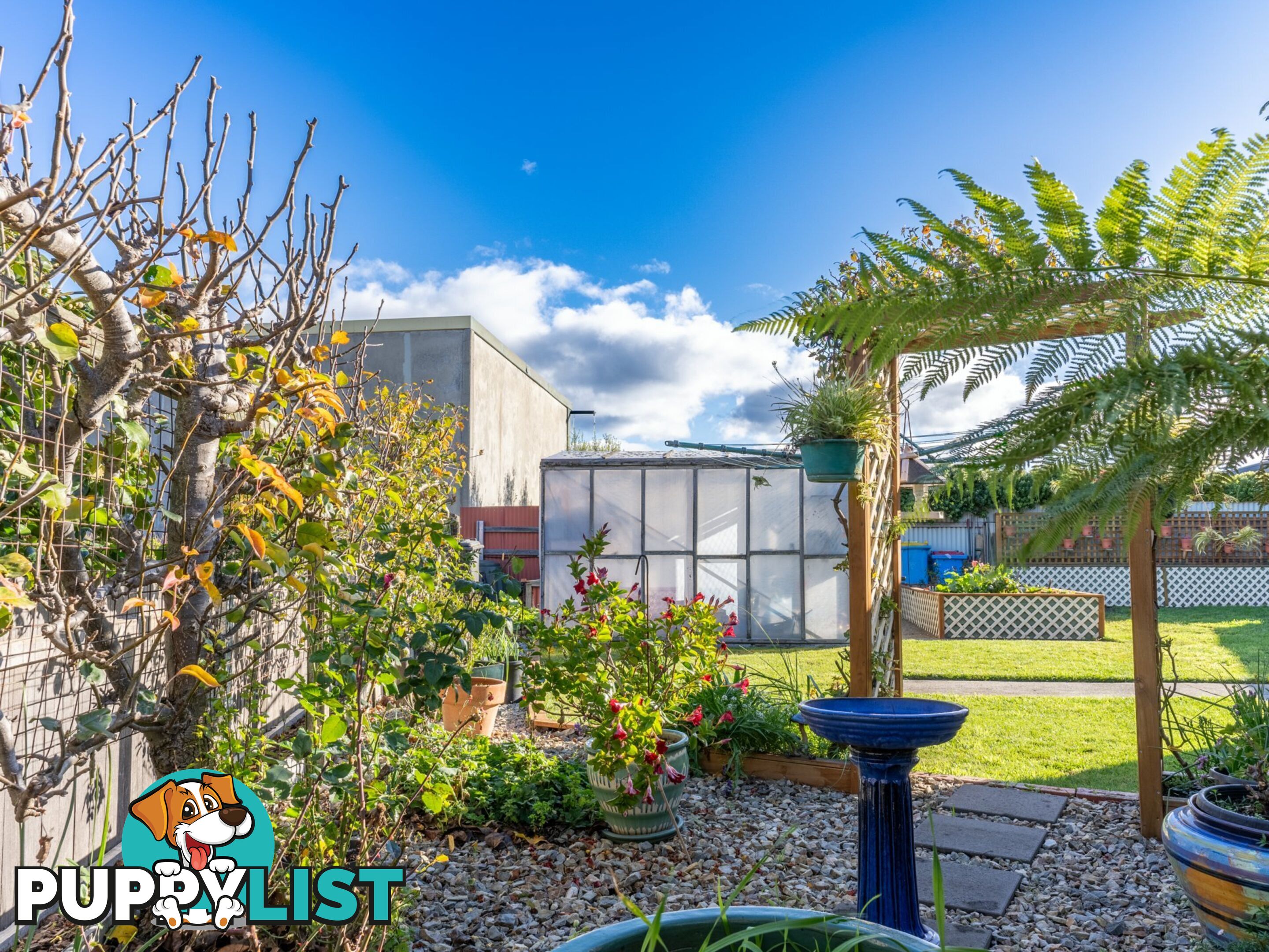 3 Cameron Street ST HELENS TAS 7216