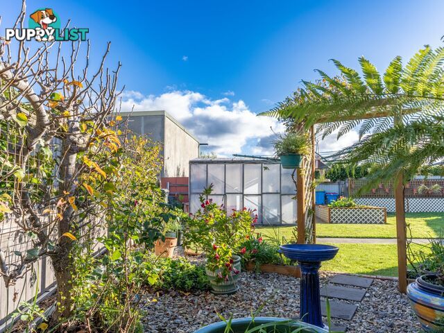 3 Cameron Street ST HELENS TAS 7216