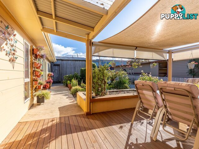 3 Cameron Street ST HELENS TAS 7216