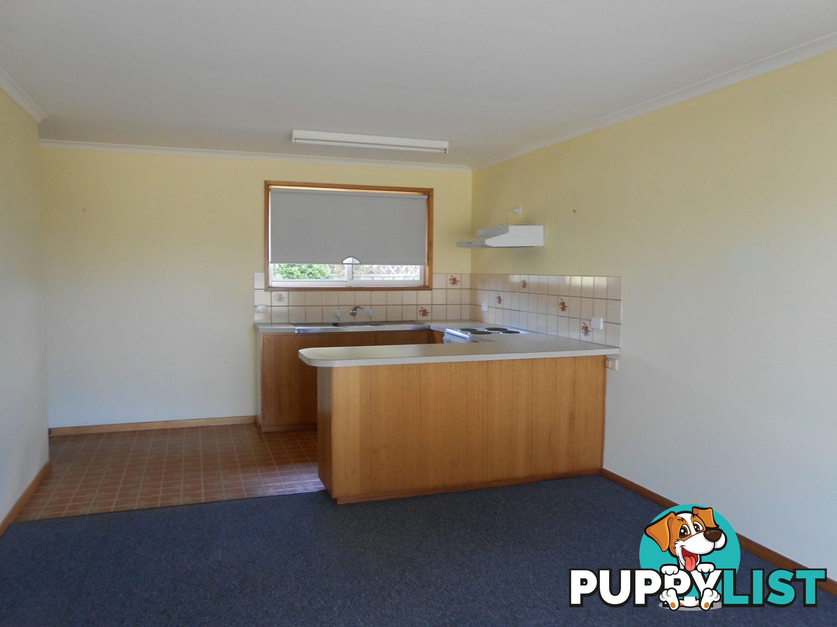 Unit 2/18 Tully Street ST HELENS TAS 7216