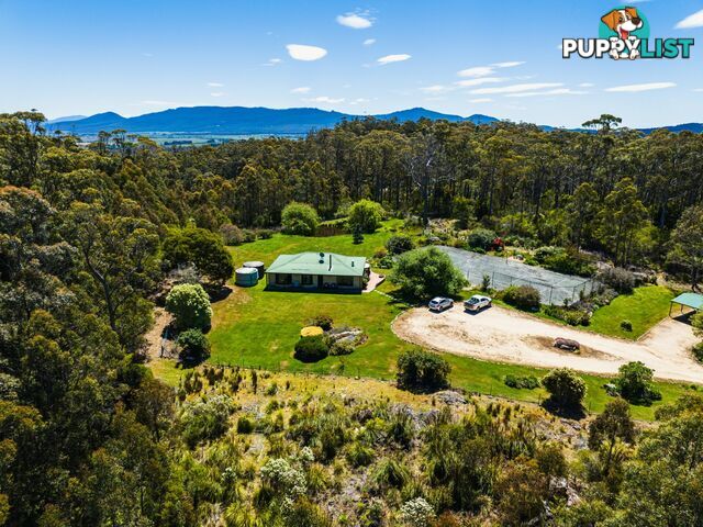 75 Dalmayne Road GRAY TAS 7215