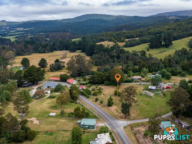 19 Main Road WELDBOROUGH TAS 7264