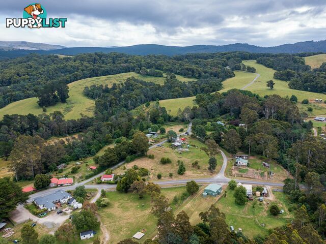 19 Main Road WELDBOROUGH TAS 7264