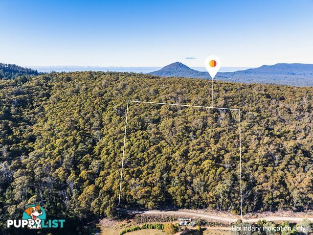 301 Gardiners Creek Road ST MARYS TAS 7215