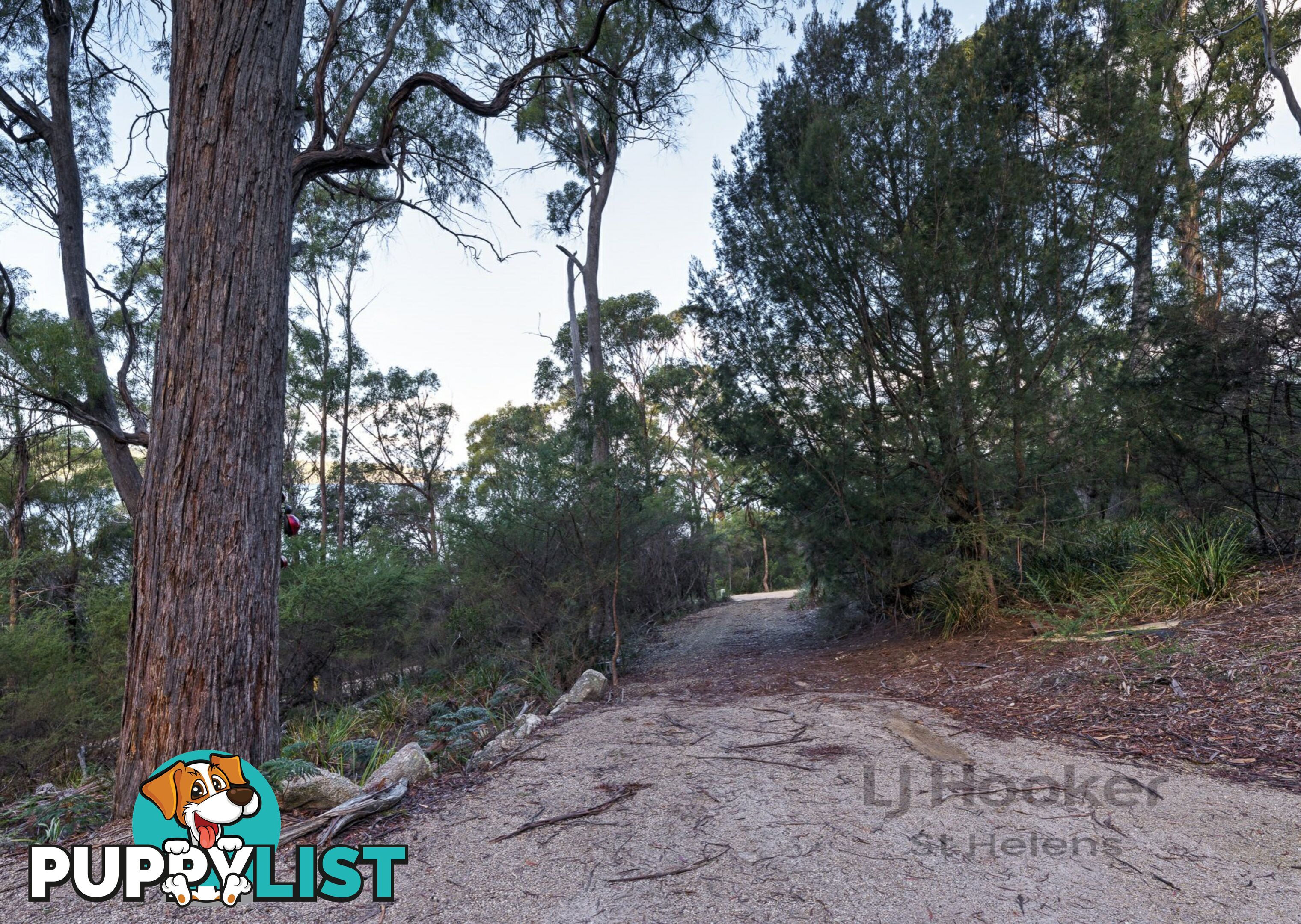 367 Binalong Bay Road ST HELENS TAS 7216