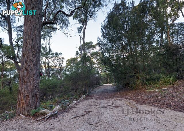 367 Binalong Bay Road ST HELENS TAS 7216
