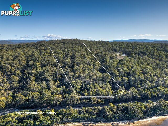 367 Binalong Bay Road ST HELENS TAS 7216