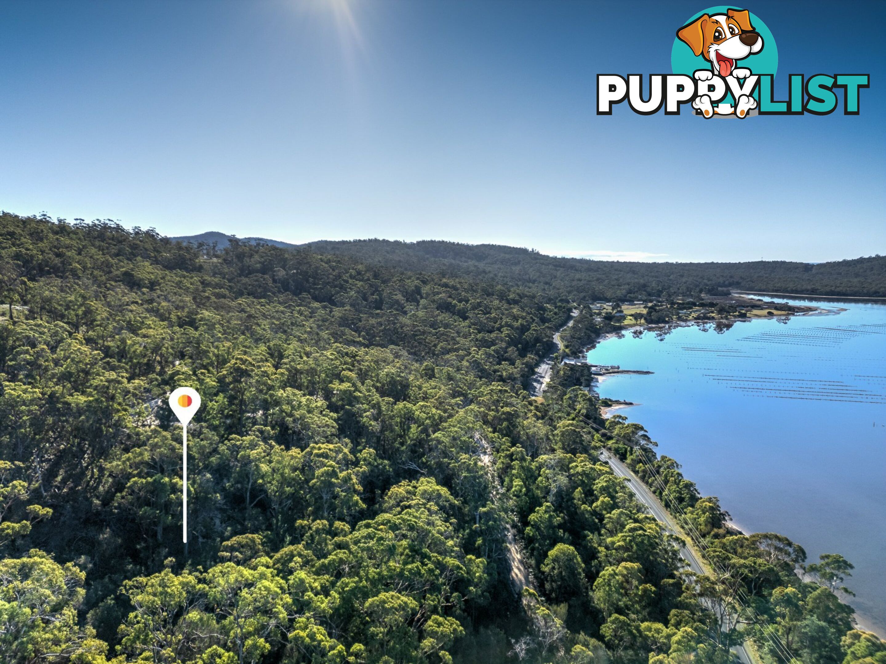367 Binalong Bay Road ST HELENS TAS 7216