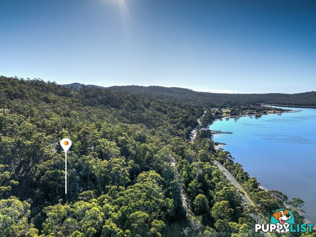 367 Binalong Bay Road ST HELENS TAS 7216