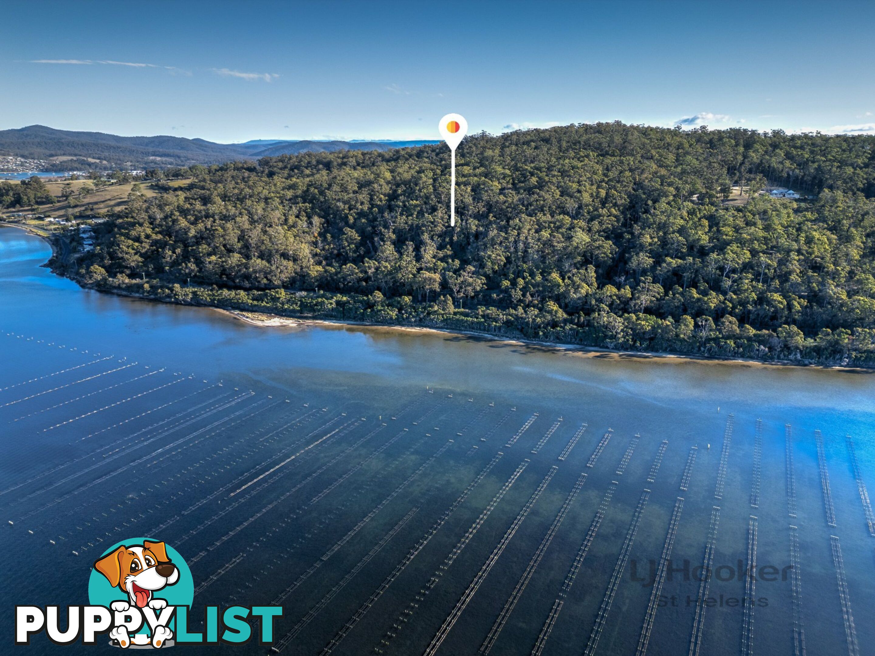 367 Binalong Bay Road ST HELENS TAS 7216