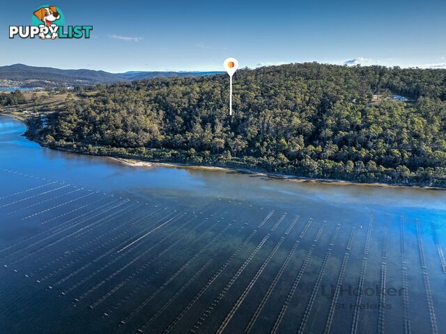 367 Binalong Bay Road ST HELENS TAS 7216