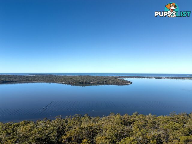 367 Binalong Bay Road ST HELENS TAS 7216