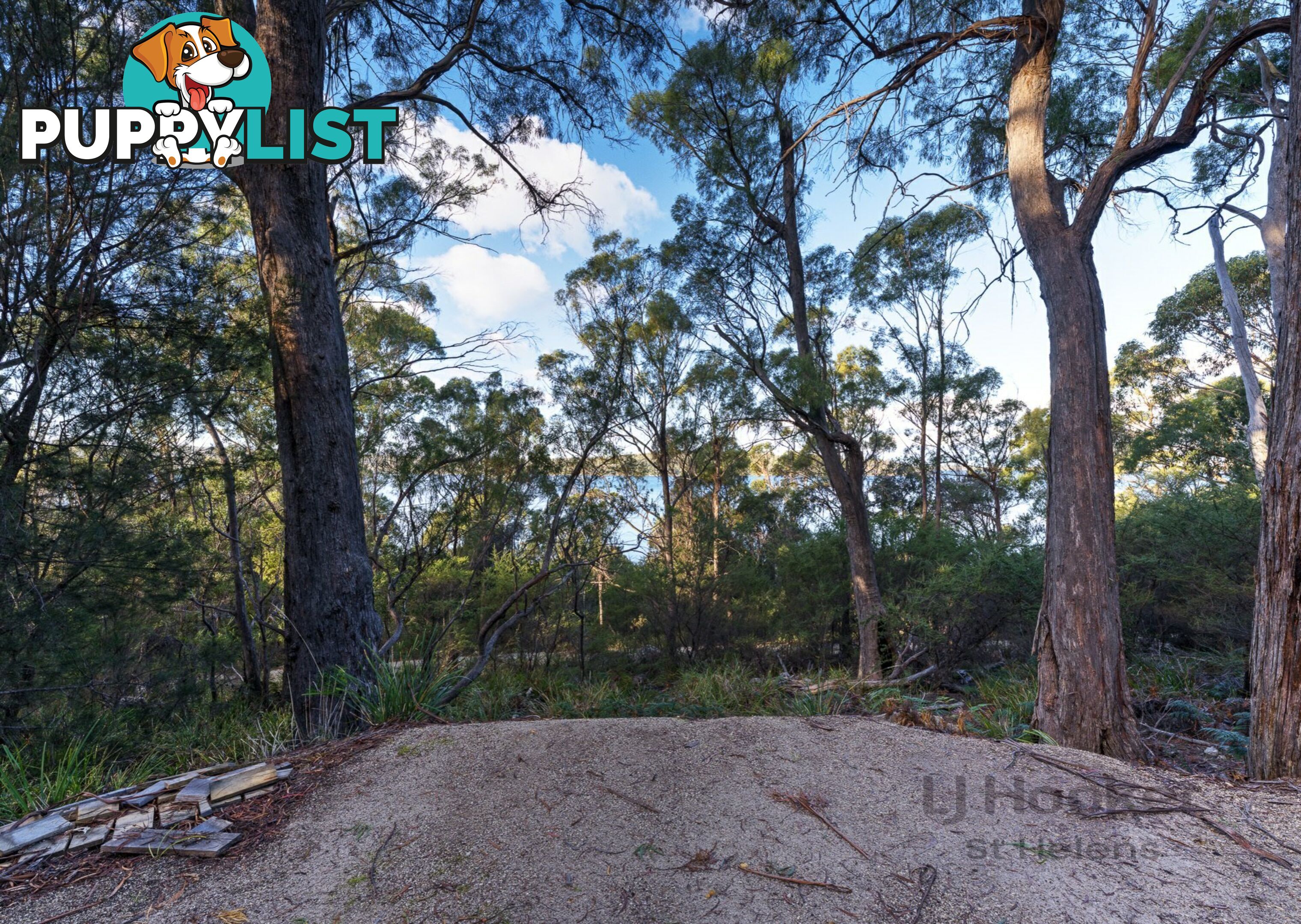 367 Binalong Bay Road ST HELENS TAS 7216