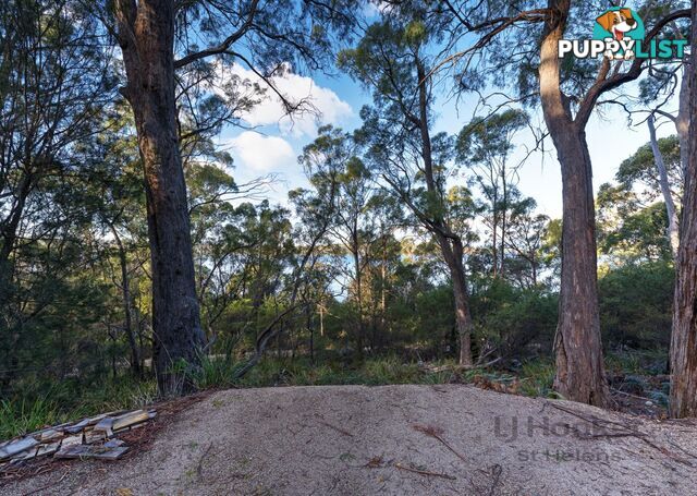 367 Binalong Bay Road ST HELENS TAS 7216