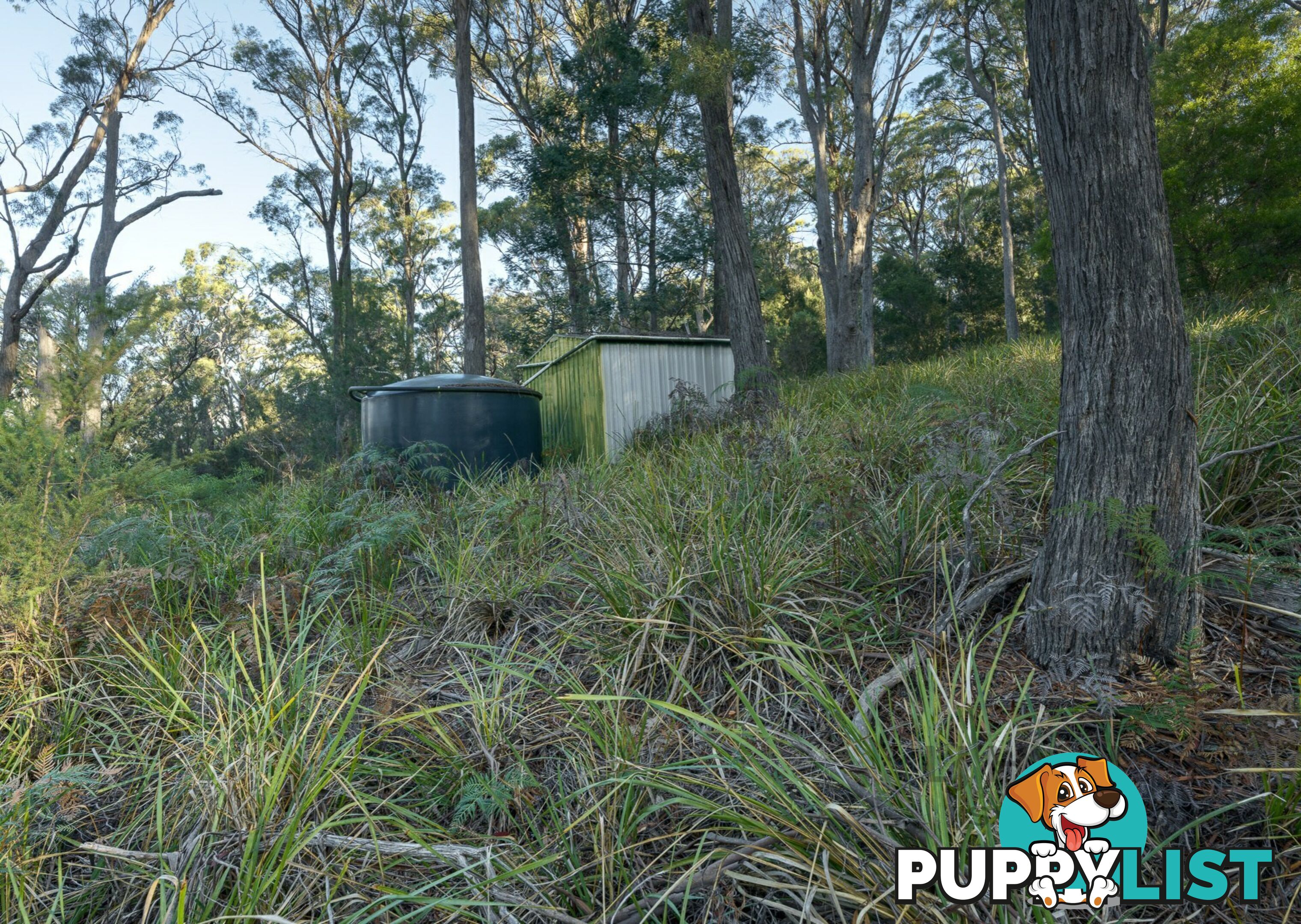 367 Binalong Bay Road ST HELENS TAS 7216