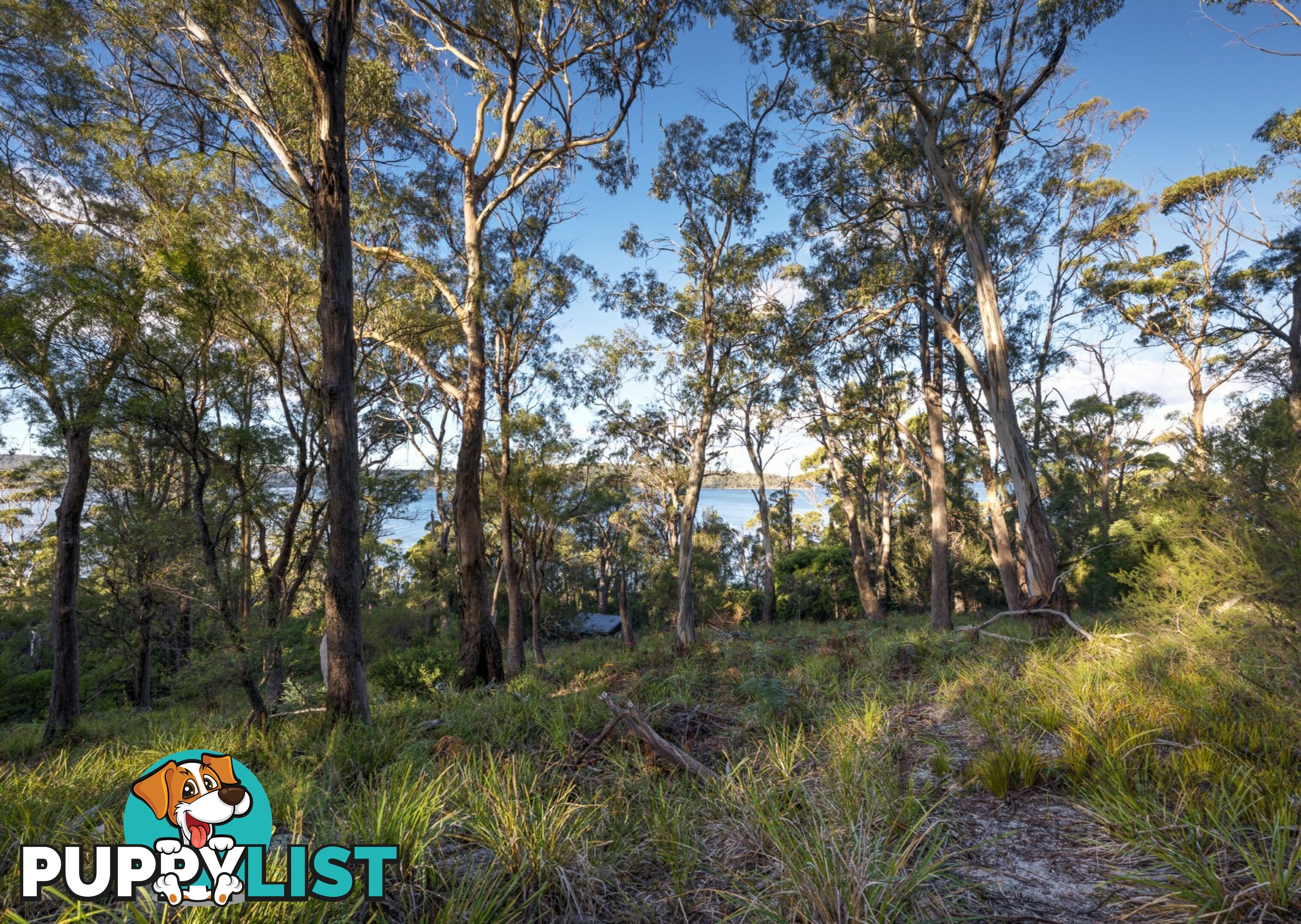 367 Binalong Bay Road ST HELENS TAS 7216