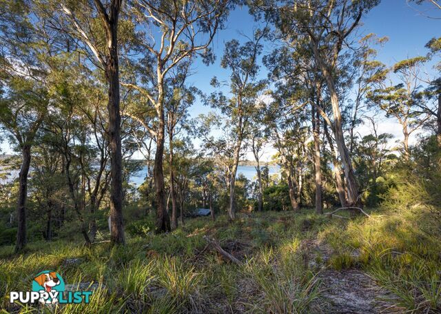 367 Binalong Bay Road ST HELENS TAS 7216
