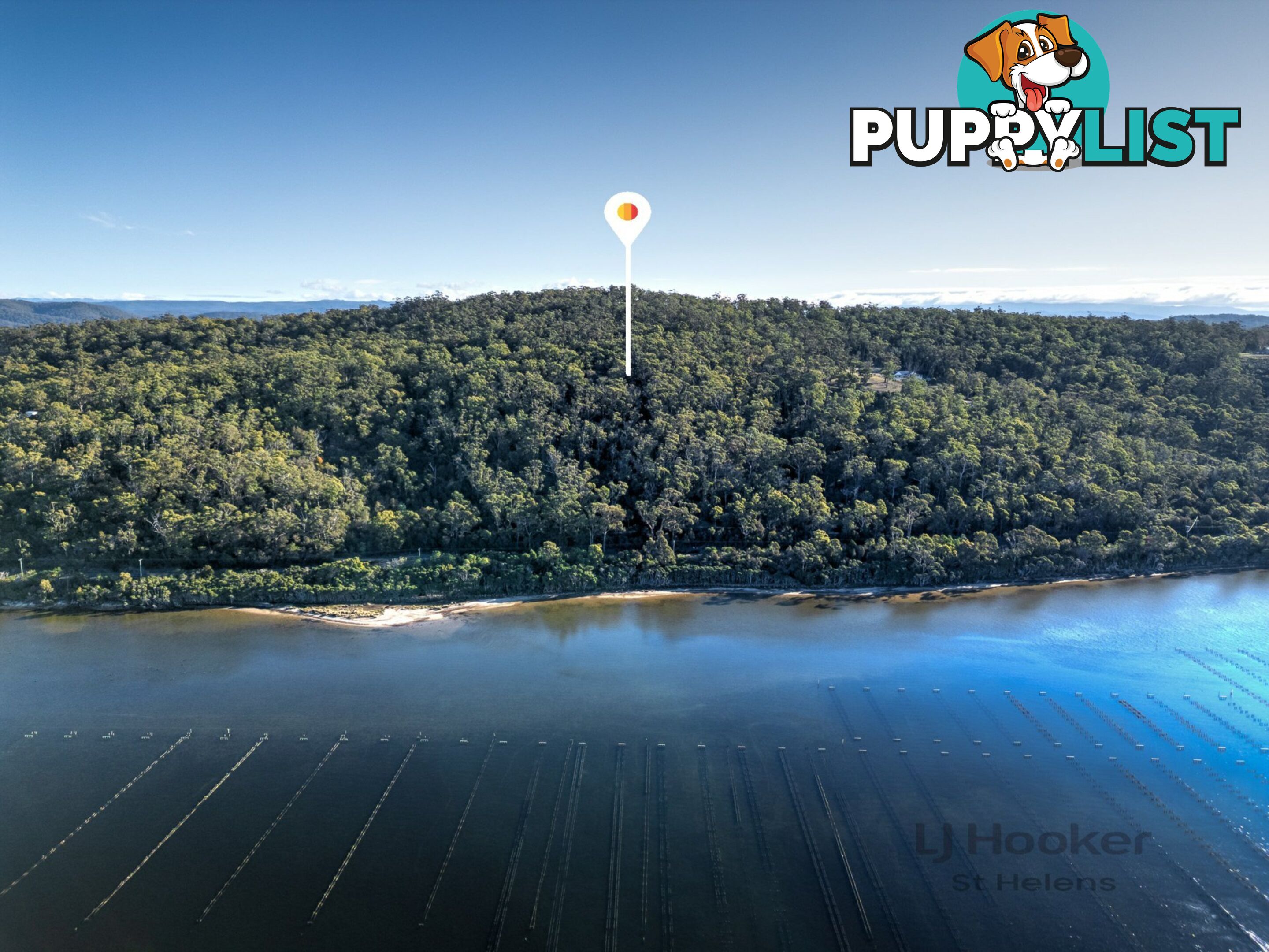 367 Binalong Bay Road ST HELENS TAS 7216