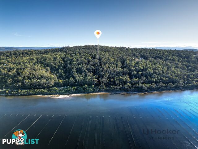 367 Binalong Bay Road ST HELENS TAS 7216