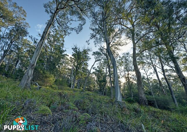 367 Binalong Bay Road ST HELENS TAS 7216