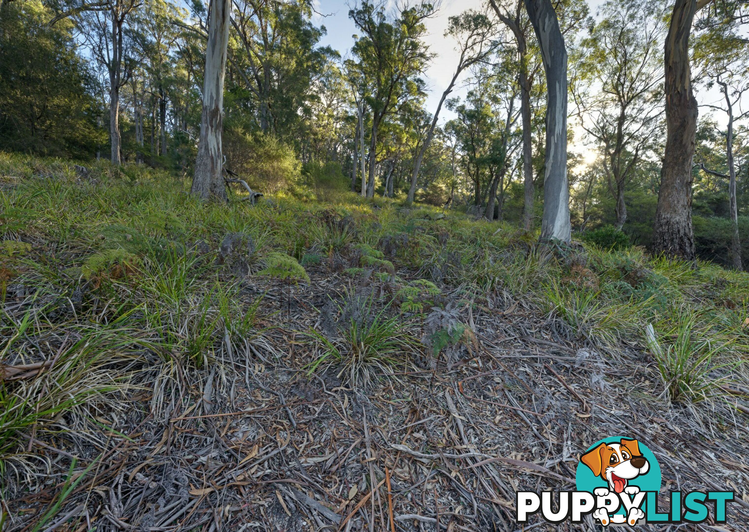 367 Binalong Bay Road ST HELENS TAS 7216