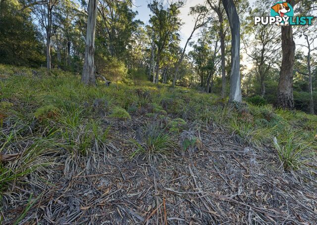 367 Binalong Bay Road ST HELENS TAS 7216