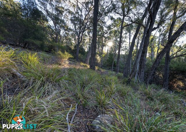 367 Binalong Bay Road ST HELENS TAS 7216