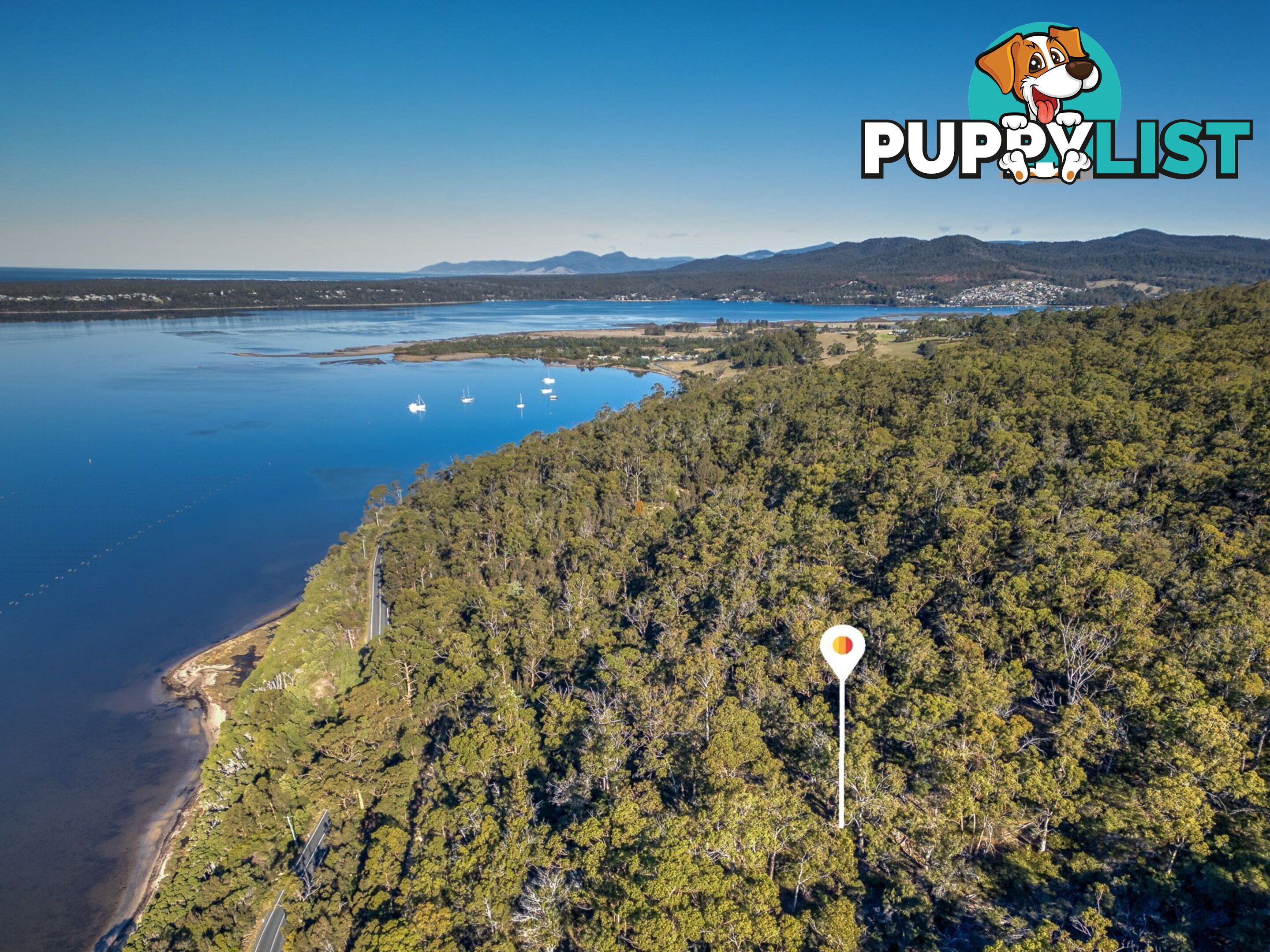 367 Binalong Bay Road ST HELENS TAS 7216