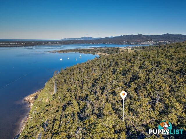 367 Binalong Bay Road ST HELENS TAS 7216