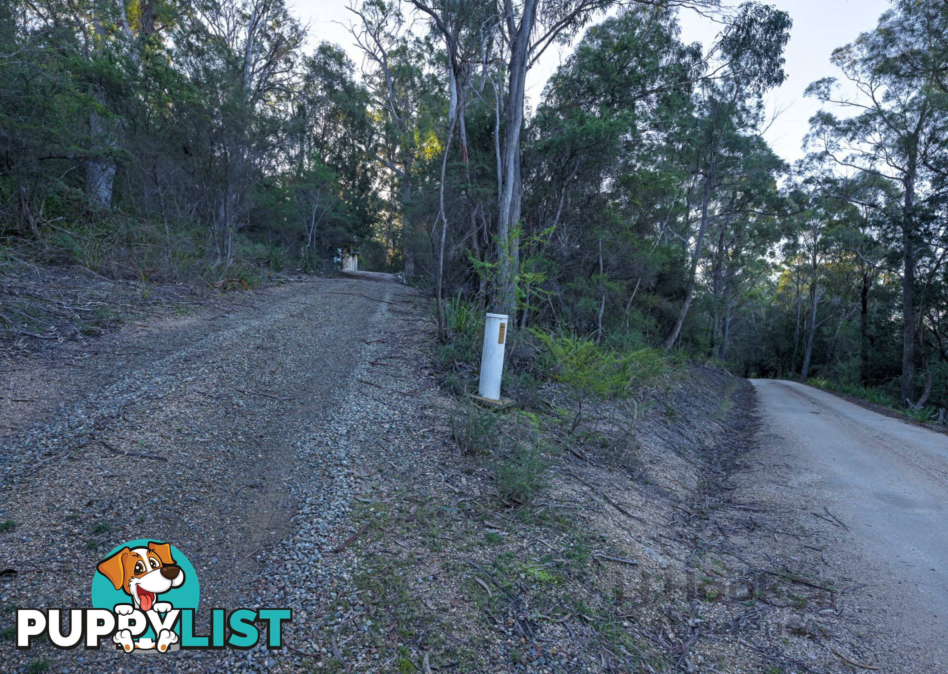367 Binalong Bay Road ST HELENS TAS 7216