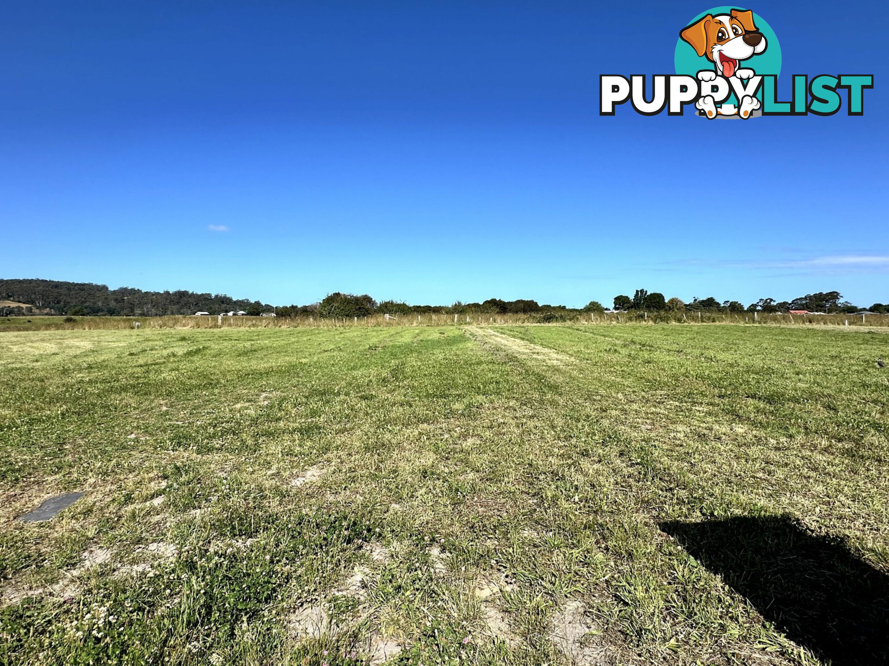 8 Archie Court ST HELENS TAS 7216