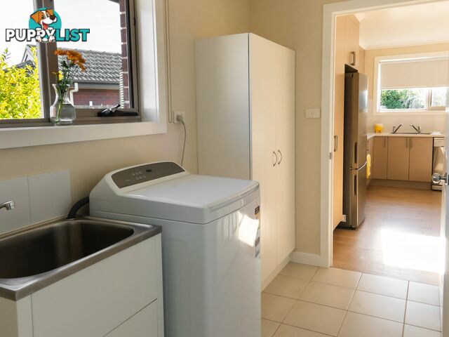8 Mill Court ST HELENS TAS 7216