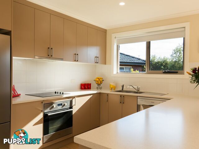 8 Mill Court ST HELENS TAS 7216