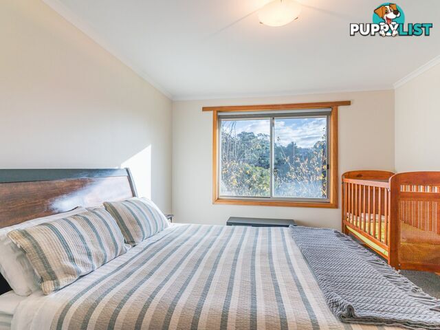 78 Tasman Highway ST HELENS TAS 7216