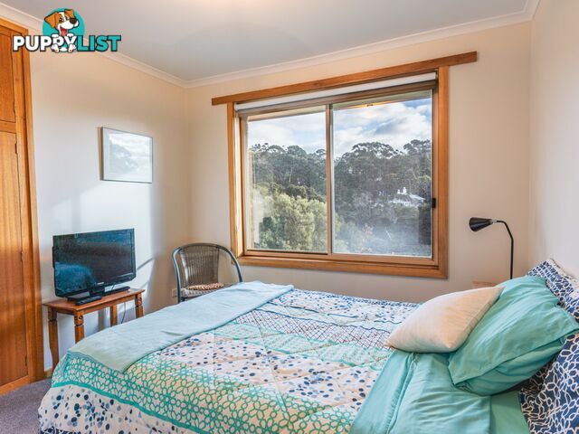 78 Tasman Highway ST HELENS TAS 7216