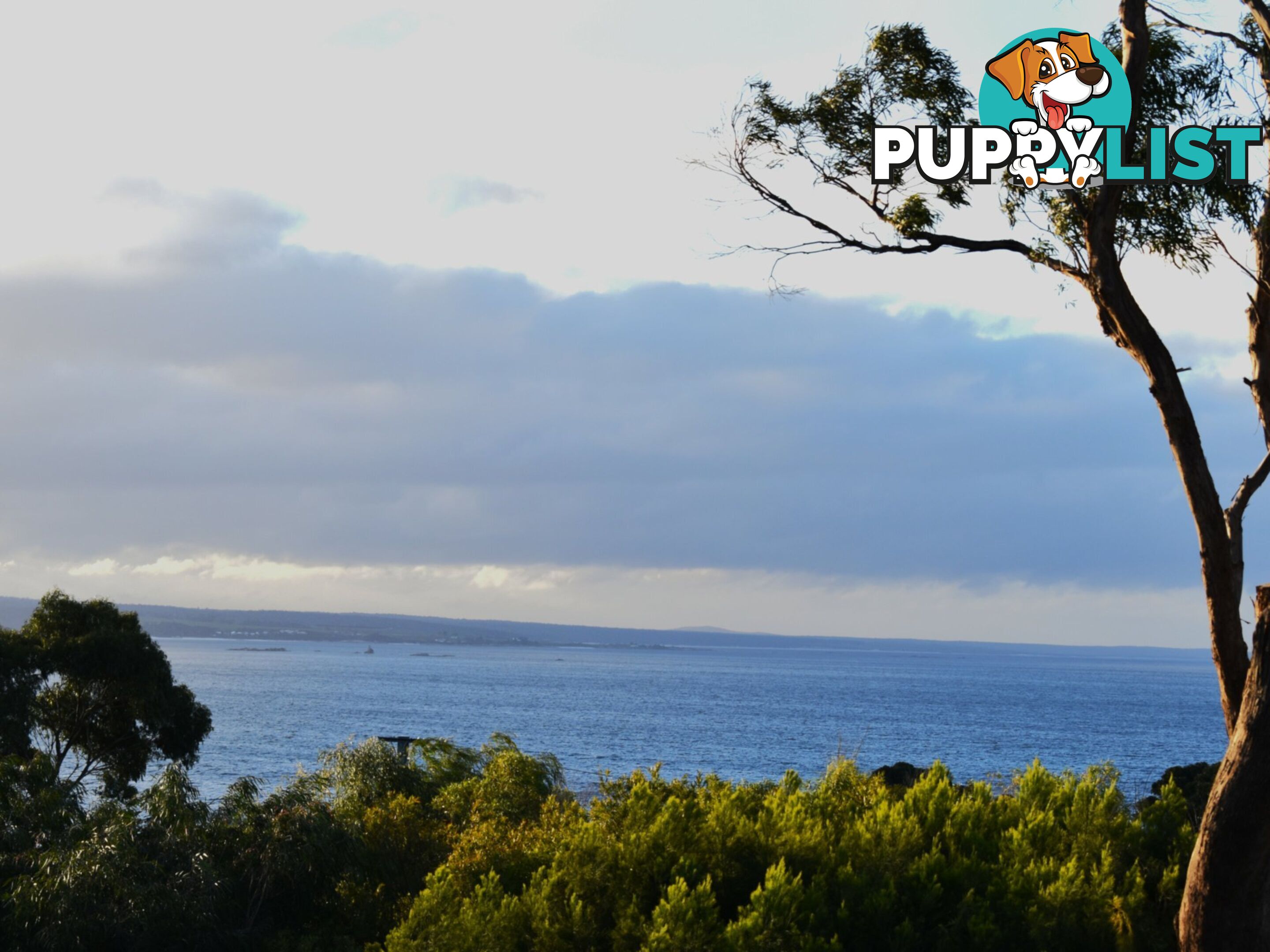 13 Beven Heights BINALONG BAY TAS 7216