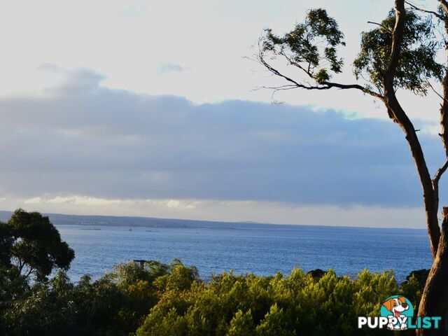13 Beven Heights BINALONG BAY TAS 7216