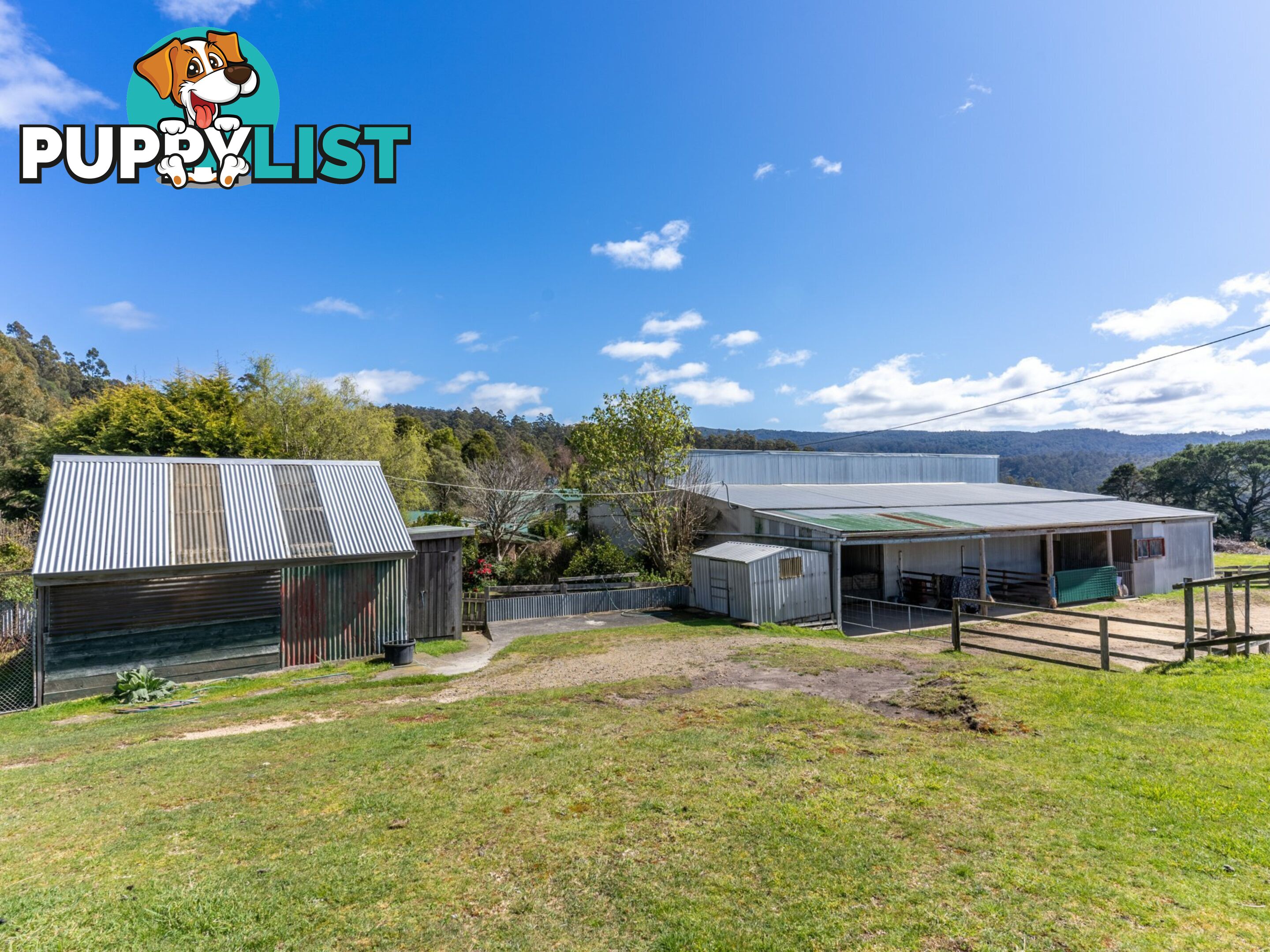 497 Lottah Road GOULDS COUNTRY TAS 7216