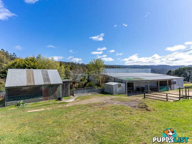 497 Lottah Road GOULDS COUNTRY TAS 7216