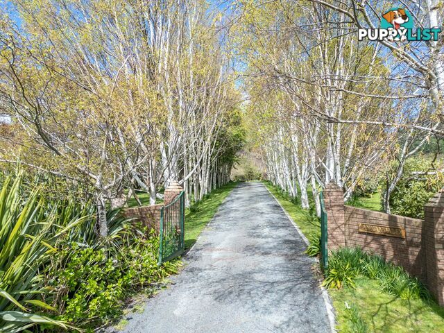 497 Lottah Road GOULDS COUNTRY TAS 7216