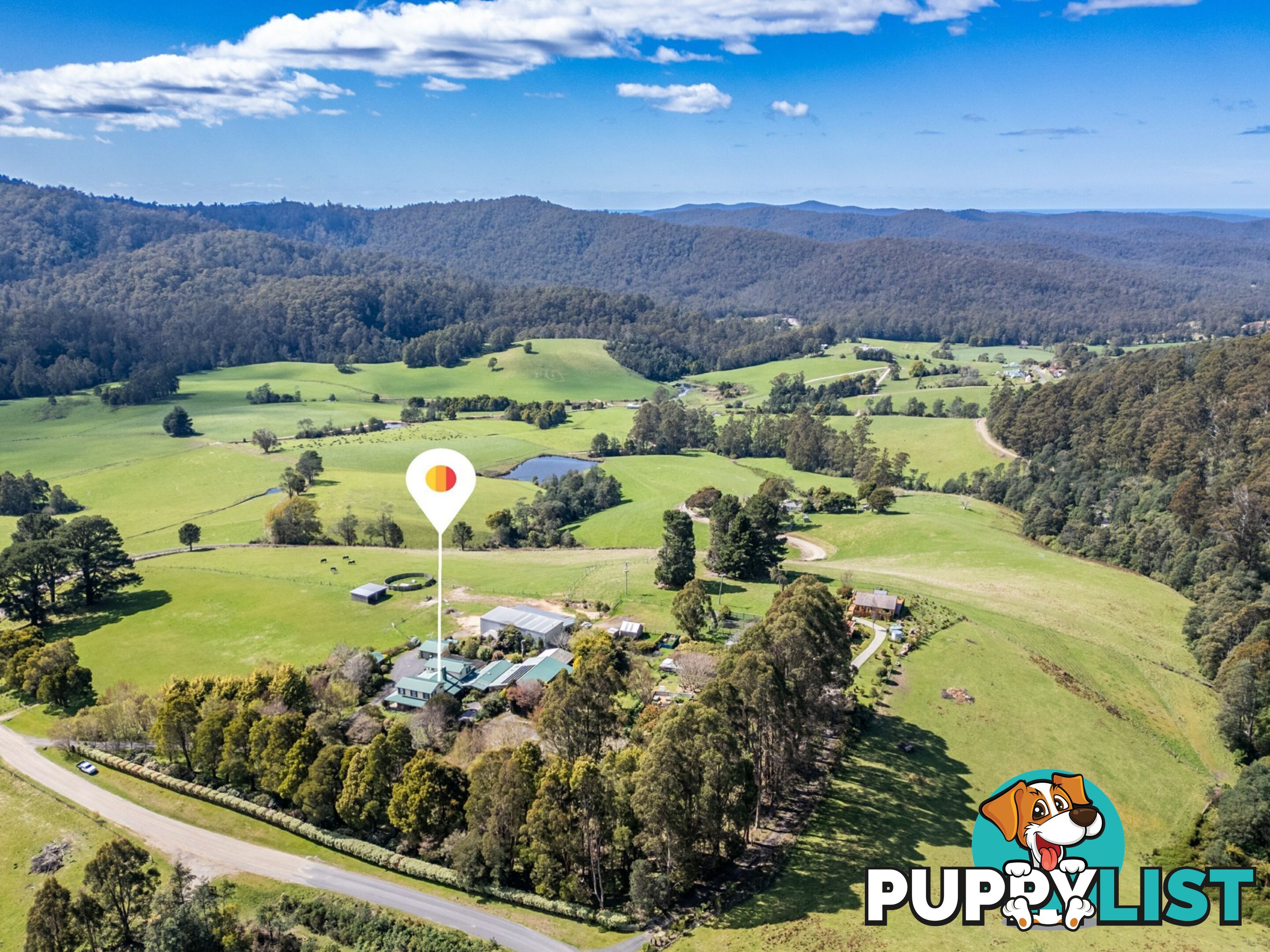 497 Lottah Road GOULDS COUNTRY TAS 7216