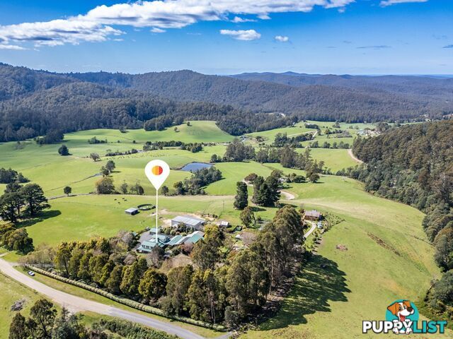 497 Lottah Road GOULDS COUNTRY TAS 7216