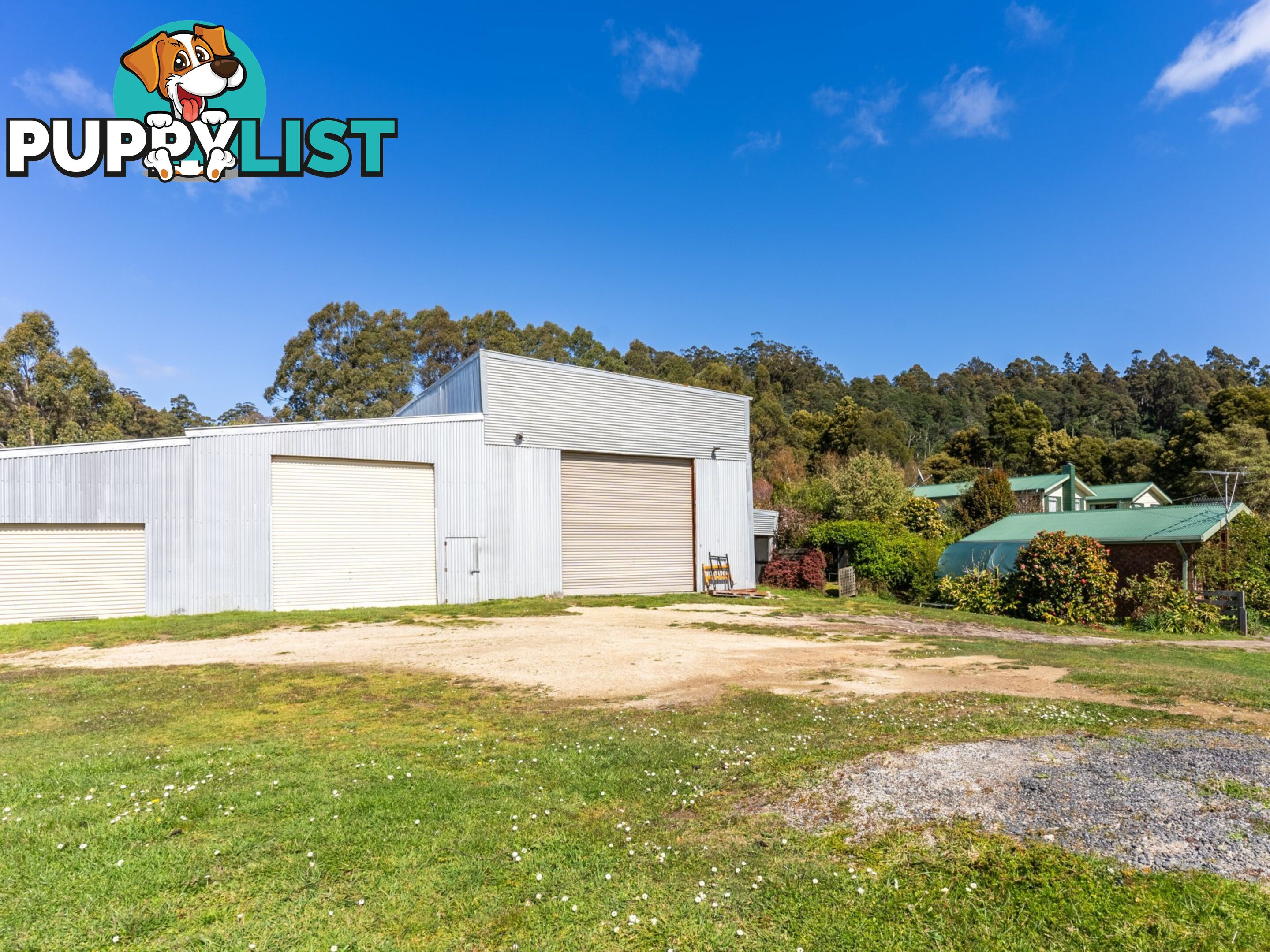 497 Lottah Road GOULDS COUNTRY TAS 7216