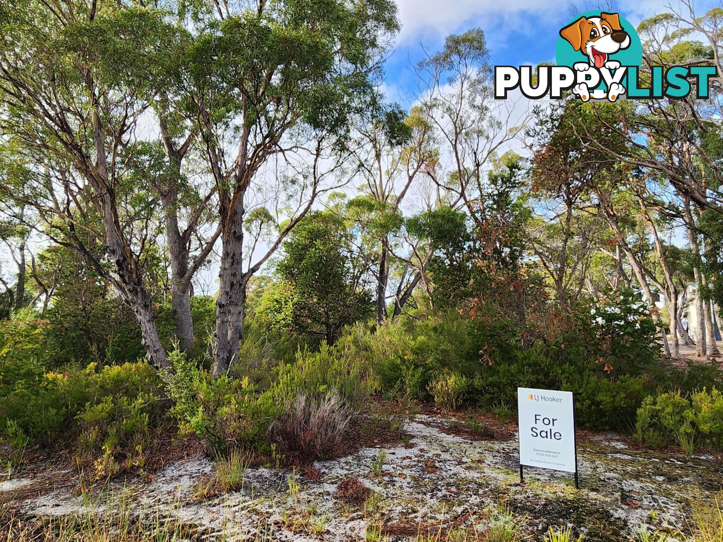 131 Acacia Drive ANSONS BAY TAS 7264