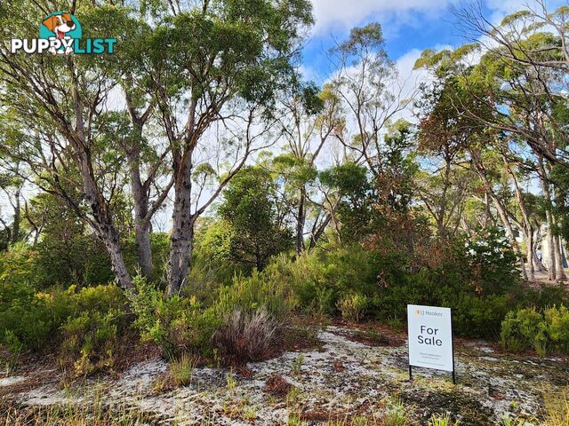131 Acacia Drive ANSONS BAY TAS 7264