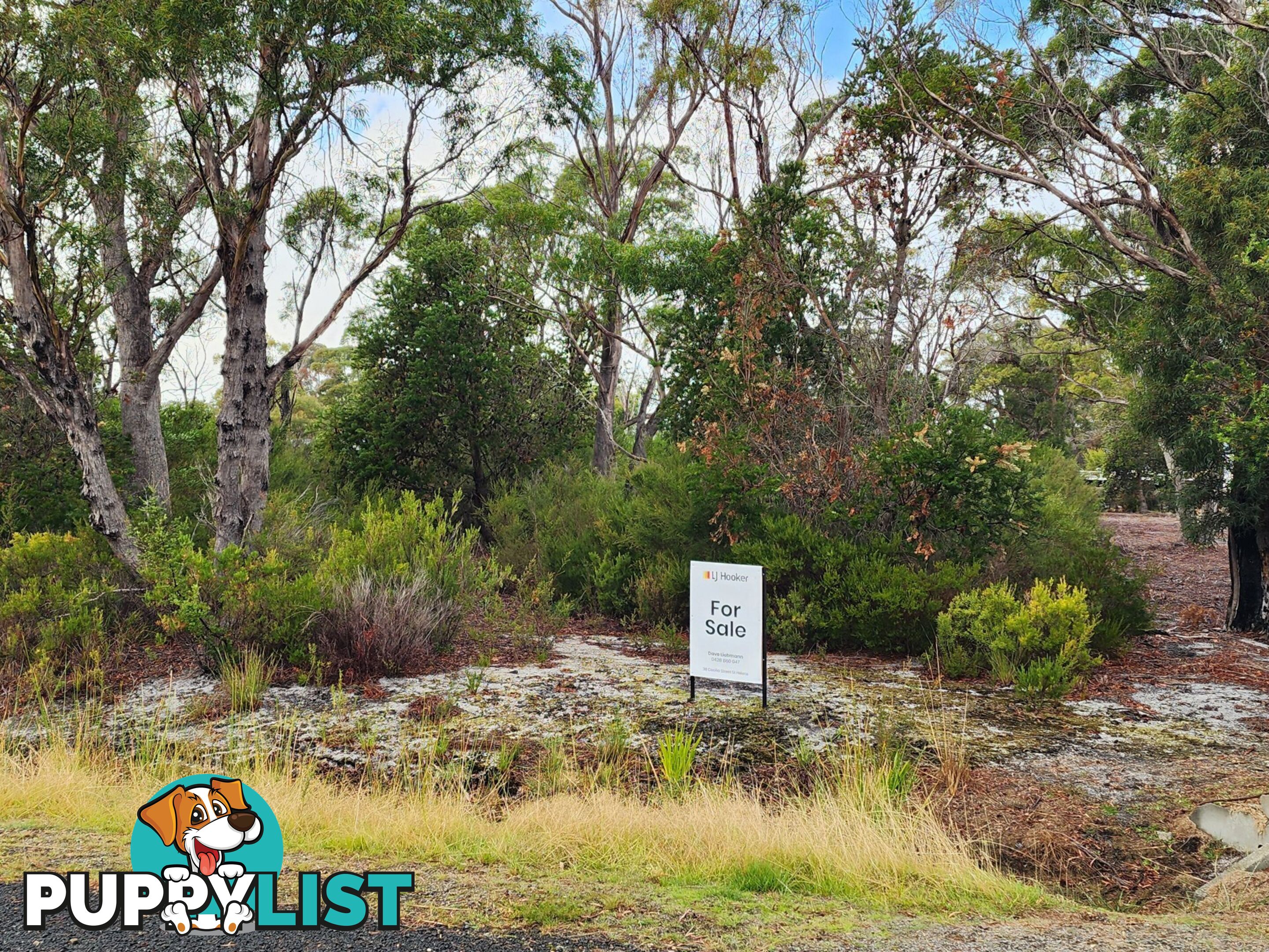 131 Acacia Drive ANSONS BAY TAS 7264