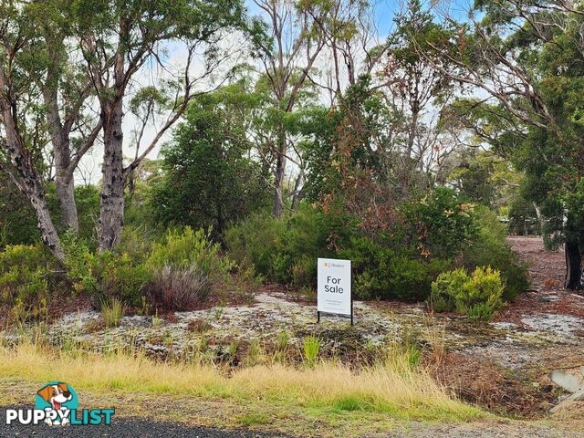 131 Acacia Drive ANSONS BAY TAS 7264