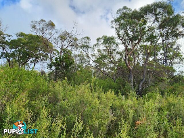 131 Acacia Drive ANSONS BAY TAS 7264