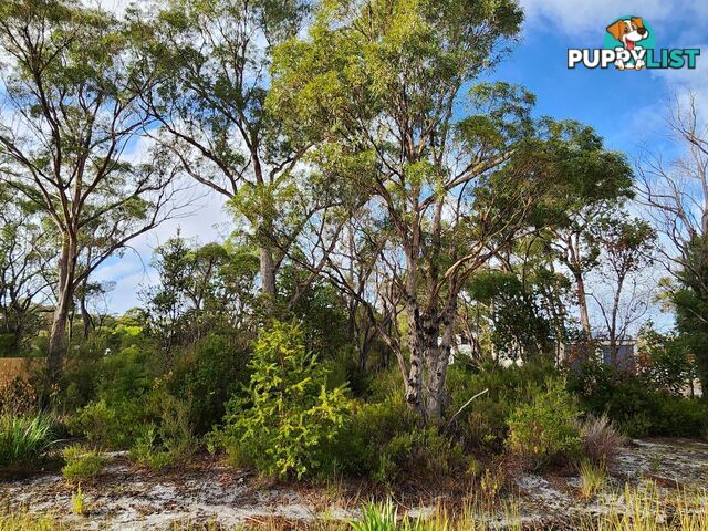 131 Acacia Drive ANSONS BAY TAS 7264